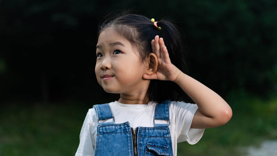 learning and hearing-congenital hearing loss-speech understanding-vocabulary acquisition