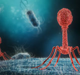 bacteriophages-antibiotic resistant-infections-smart medicine-anti infectives