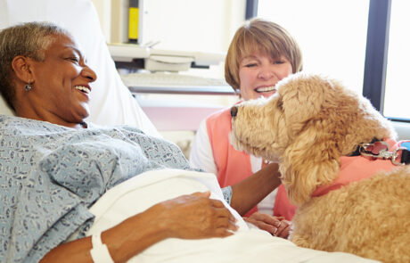 pet therapy-cancer patients-support-patient-wellbeing