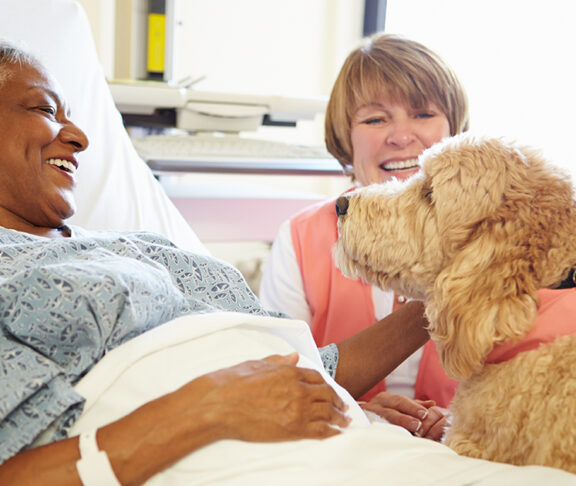 pet therapy-cancer patients-support-patient-wellbeing