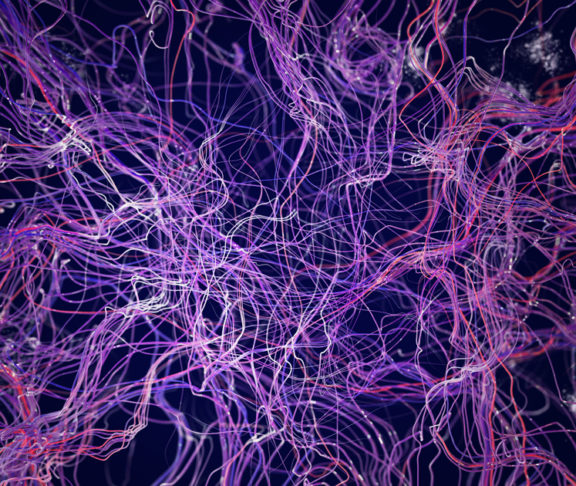 Brain connections, synapse, medical illustration under a microscope. Neurons and veins, 3d rendering. Neural connections, brain diseases