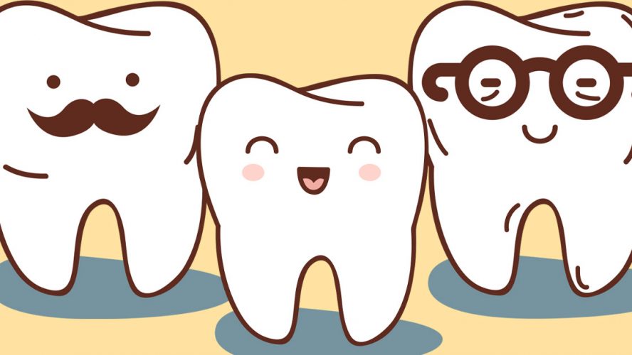 Illustrations of three teeth