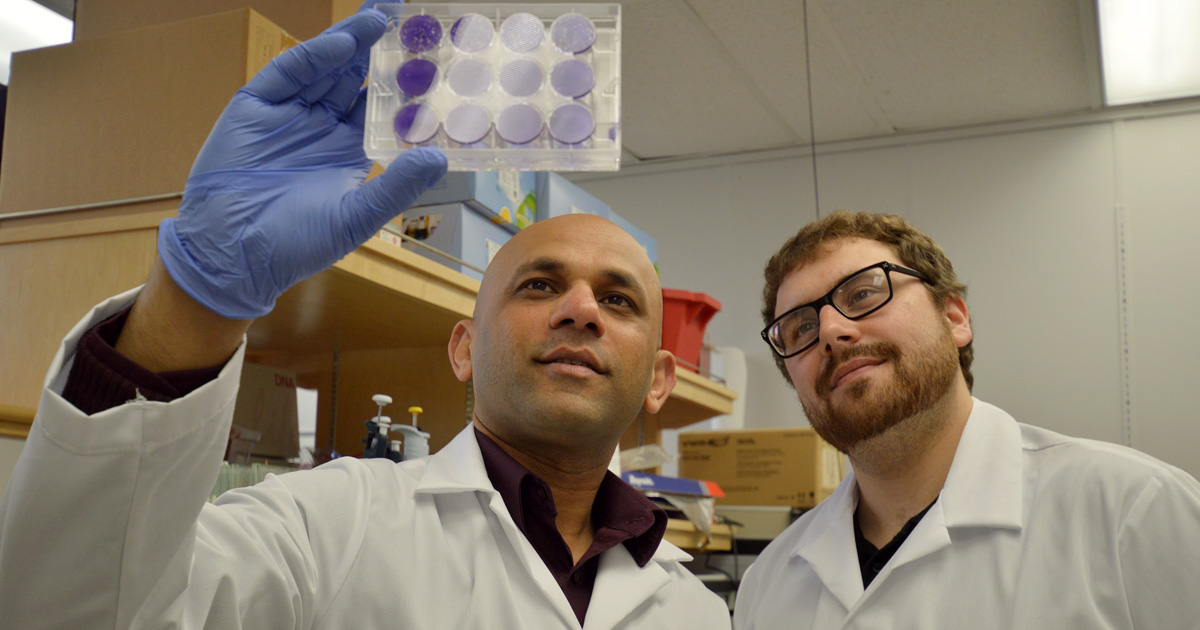 Scientists at a BHCRI lab