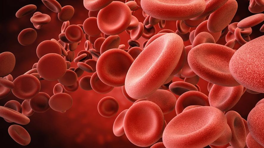 Blood Clot Awareness Could Save Your Life — Health Insight