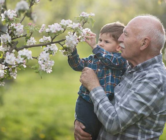 Grandfather showing his grandson a blooming tree