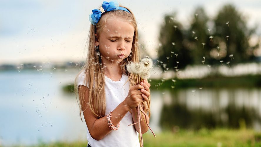 Child blowing dandelion fluff