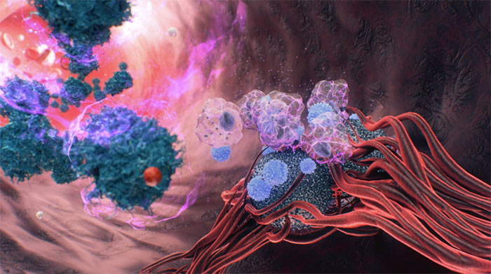 Cancer attacked by activated immune system