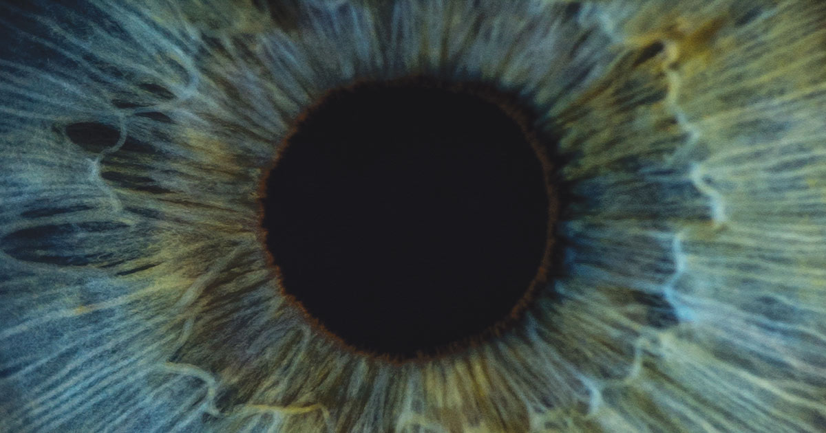Closeup of an eye's iris and pupil