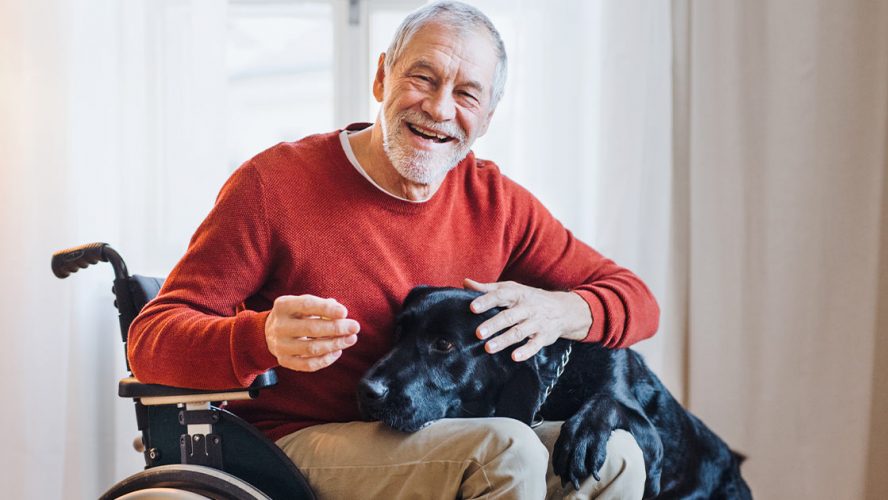 Smiling senior man in a wheelchair, with a dog's head in his lap