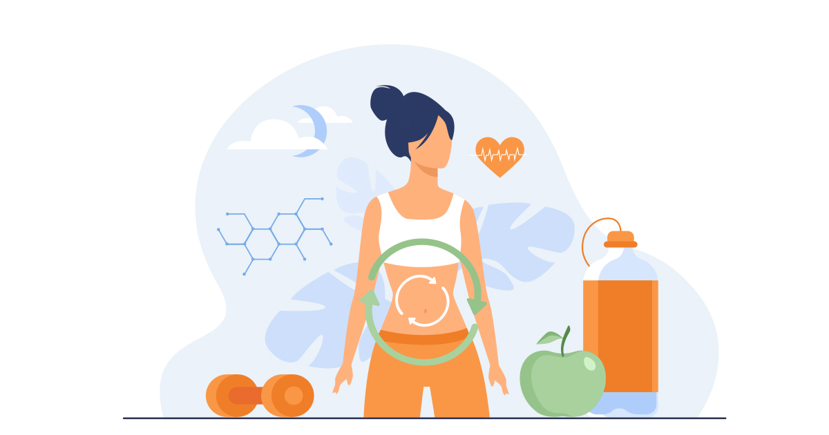 Illustration of a woman's metabolic system