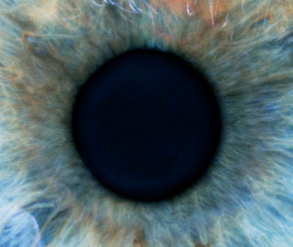 Close-up photograph of the iris and pupil of a human eyeball