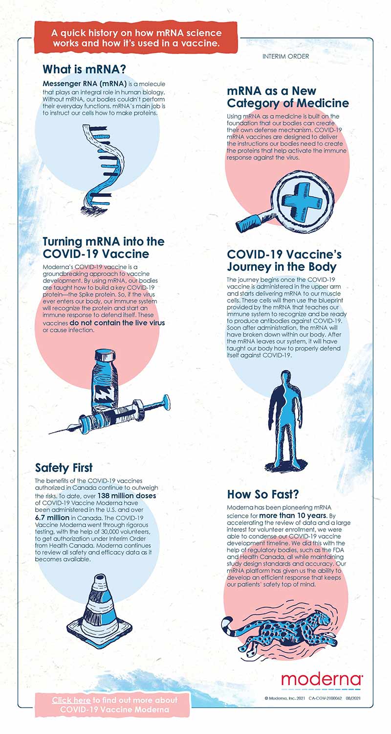 moderna mrna vaccine infographic
