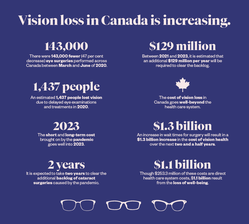 blindness vision loss canada infographic