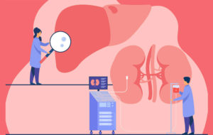 liverkidney_health_researchers