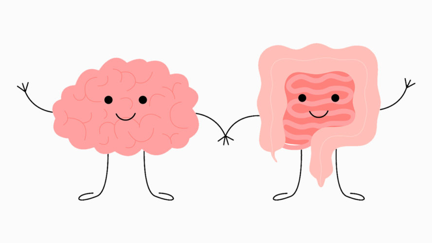 brain gut graphic