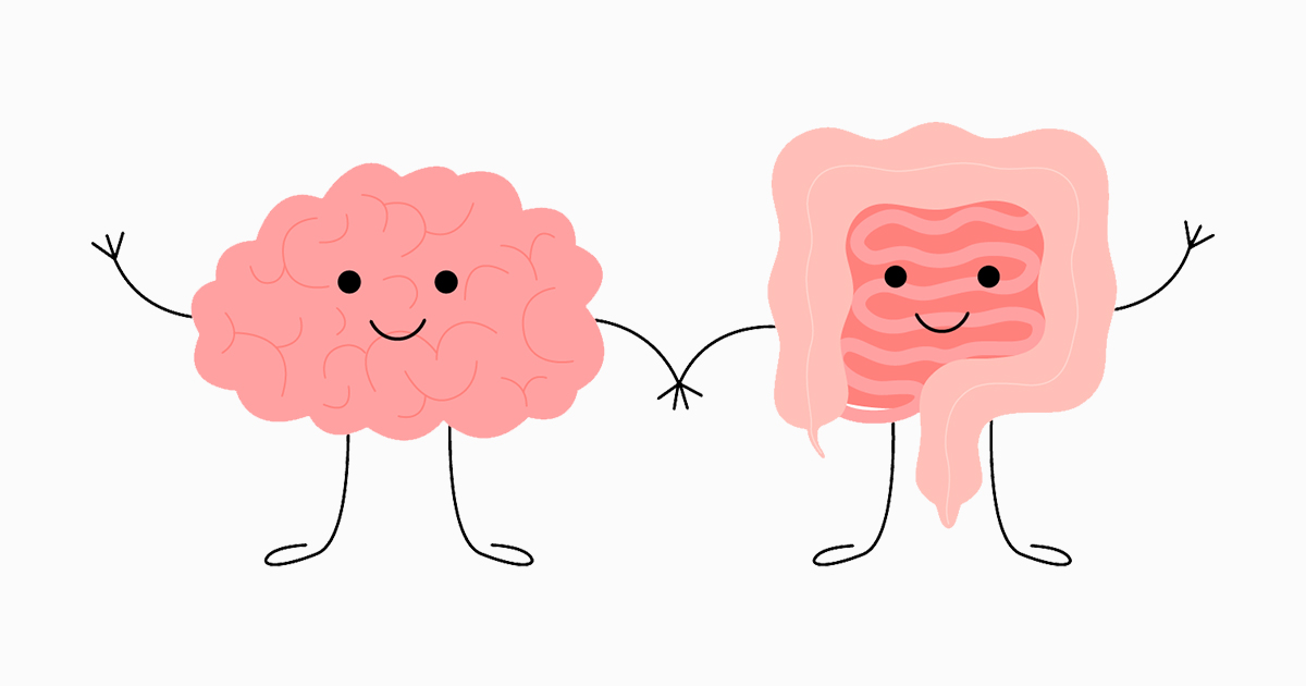 The Brain Gut Connection — Health Insight