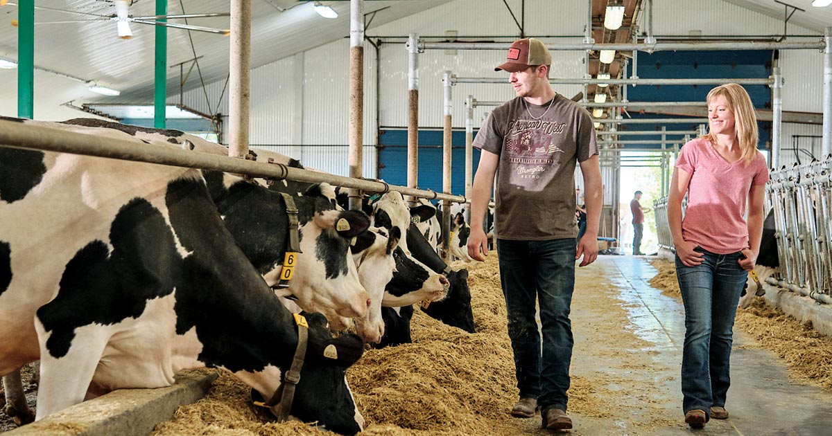 Dairy farmers are key