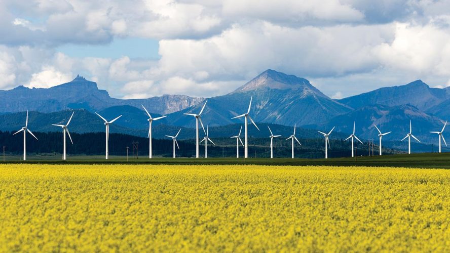 Canola field, wind farm, and mountains
