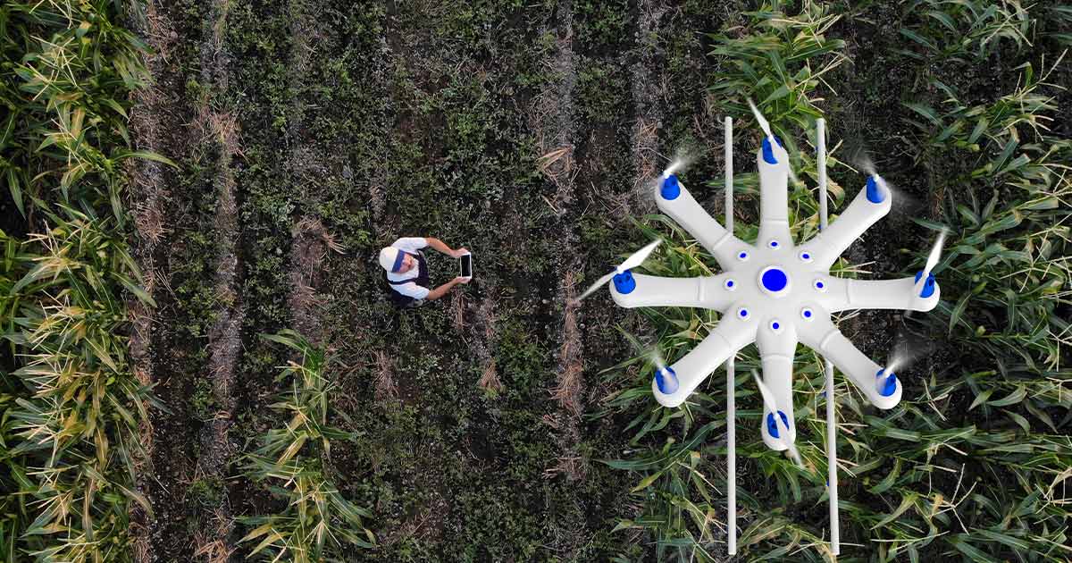 Farmer spraying crops with drone