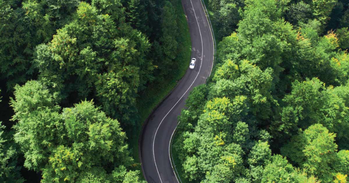 Aerial photo of a car driving down a road surrounded by forest