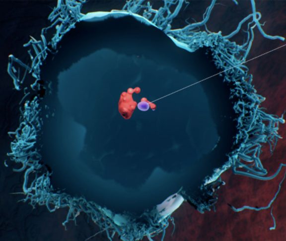 Diagram of an antigen creating a response to a virus