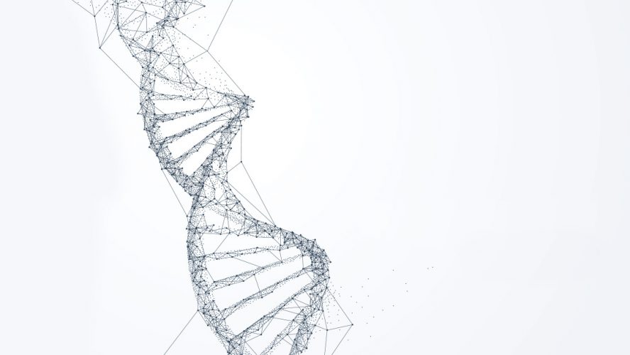 DNA strands on a white background