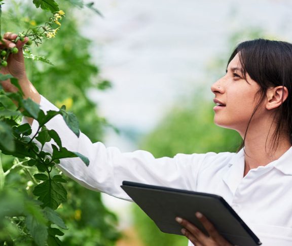 Young woman holding digital tablet and inspecting plant in a nursery