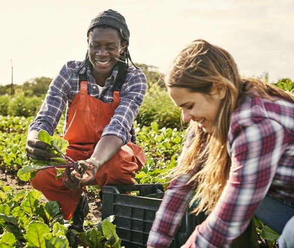 Two millenials smiling and harvesting crops at a farm