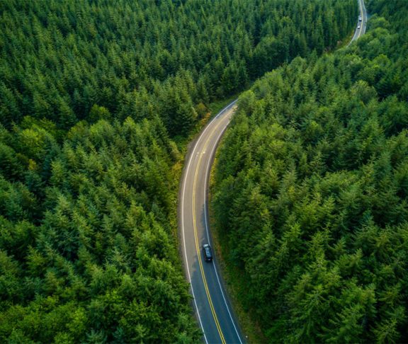 Car driving through a forest