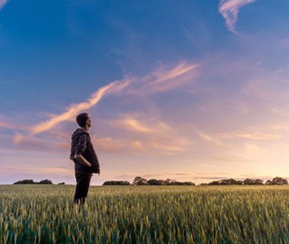 Man in a Field Gazing Out at the Sunset beneath a Nearly Cloudless Sky