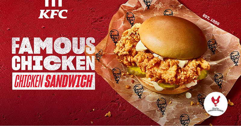 KFC chicken sandwich content