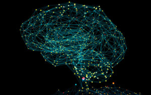 Data shaped like a brain
