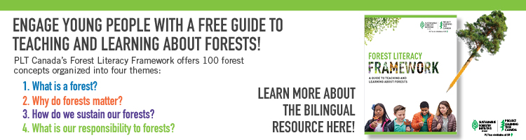 Learn about forests