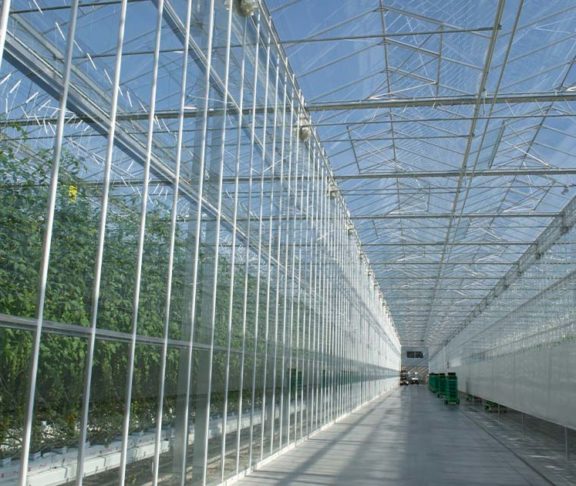 Ontario Greenhouse