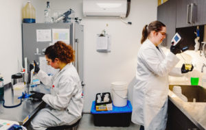 Scientists working in lab-BioTalent Canada