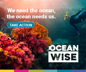 Our Board - Ocean Wise