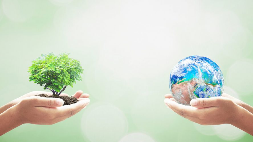 Hænder holder henholdsvis et lille træ og en lille globe