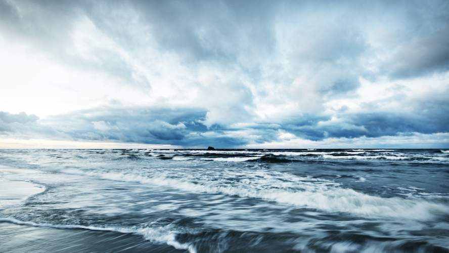Alla goda krafter behövs för att lösa Östersjöns problematik. Foto: Shutterstock
