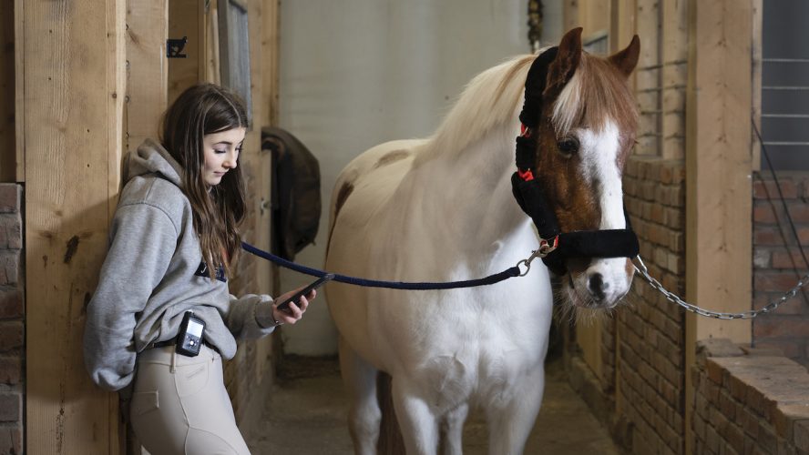 tjej vid häst med diabetespump