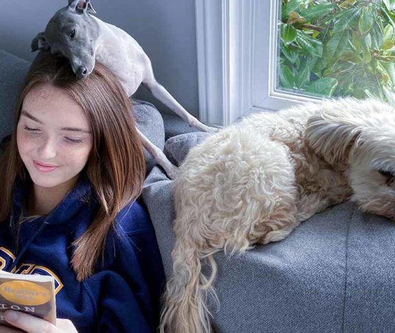 girl reading book surrounded by dogs