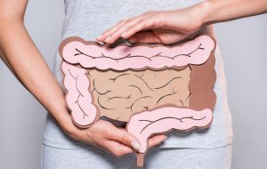 partial view of woman holding paper made large intestine on grey background