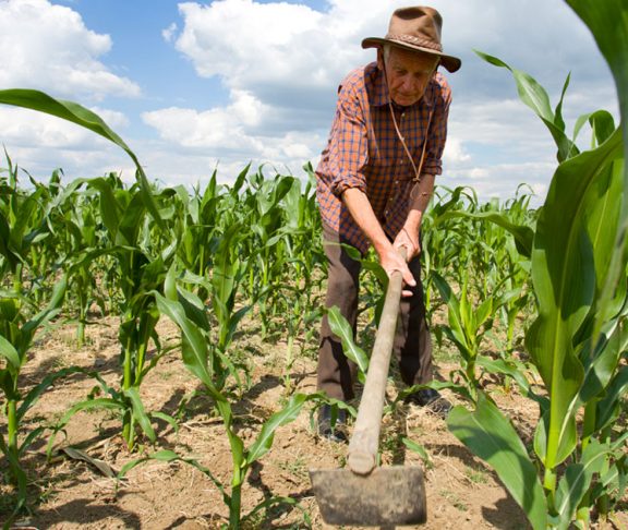 Warum ist Landwirt der wichtigste Beruf auf der Erde?
