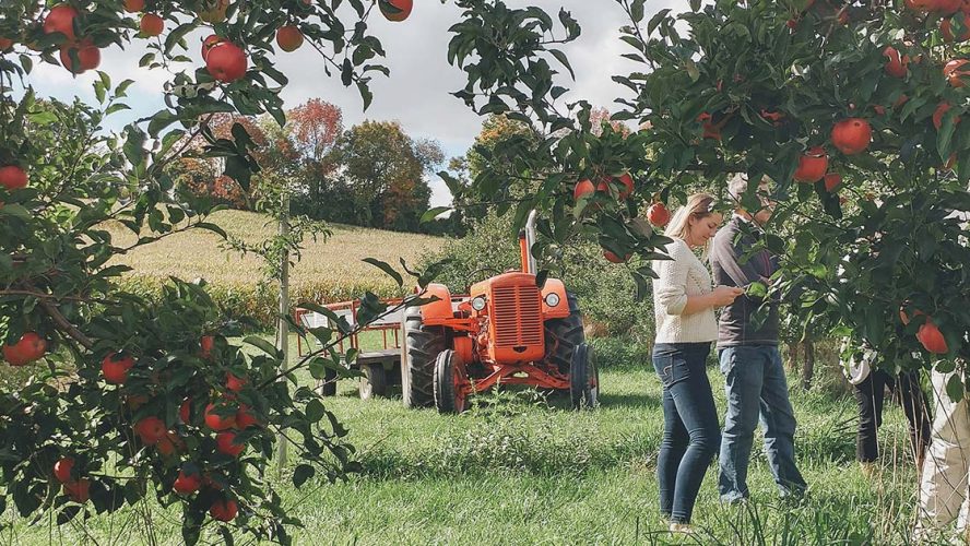 Ontario apple farm