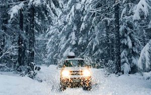 Driving through a snowy forest