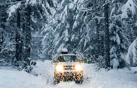 Driving through a snowy forest