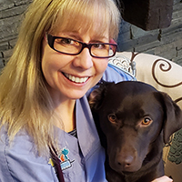 Dr. Colleen Fisher, Petsecure