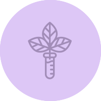Schmidt's infographic icon growing plant