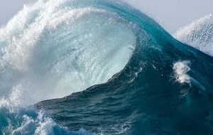 ocean wave garnier spotless september