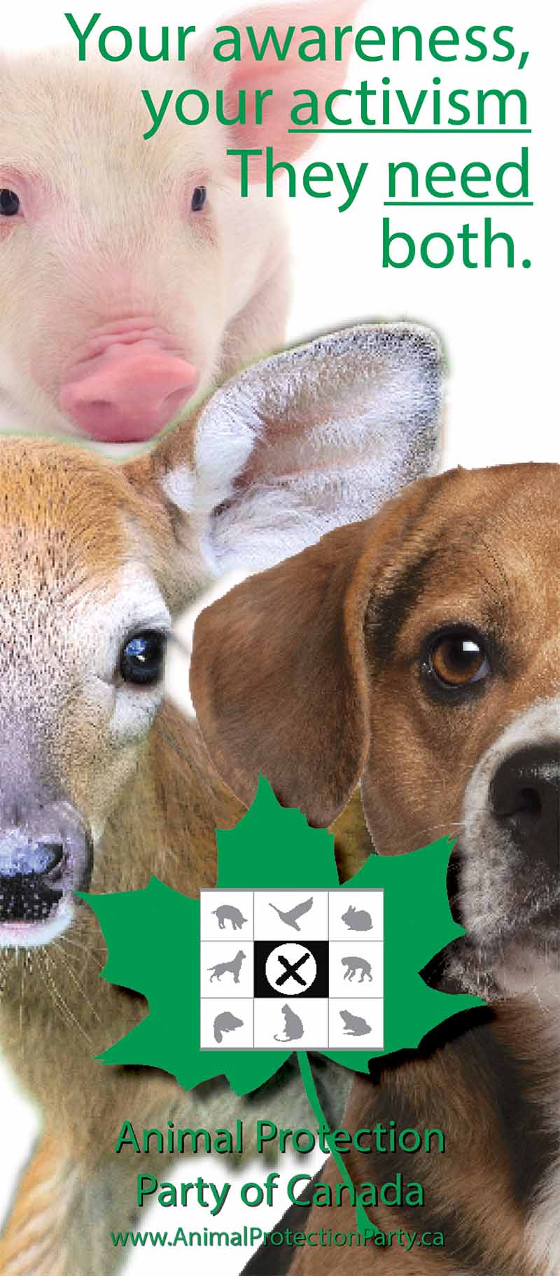 animal protection party of canada