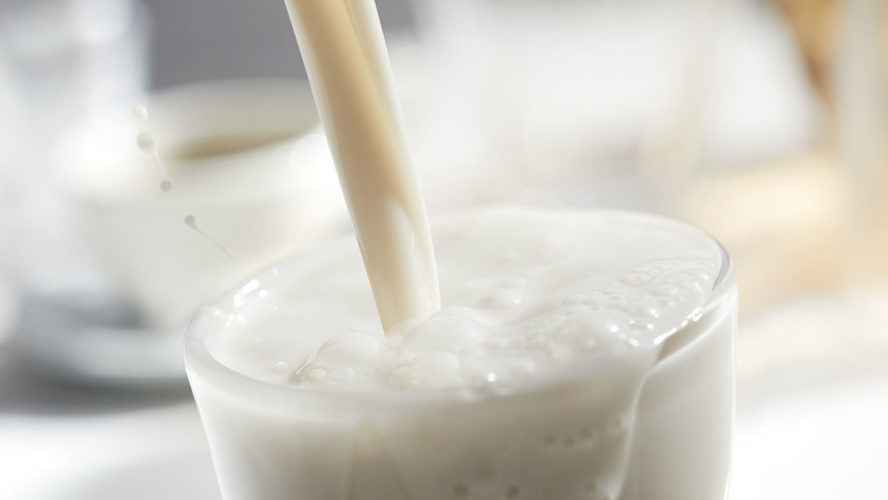 milkadamia_milk_glass